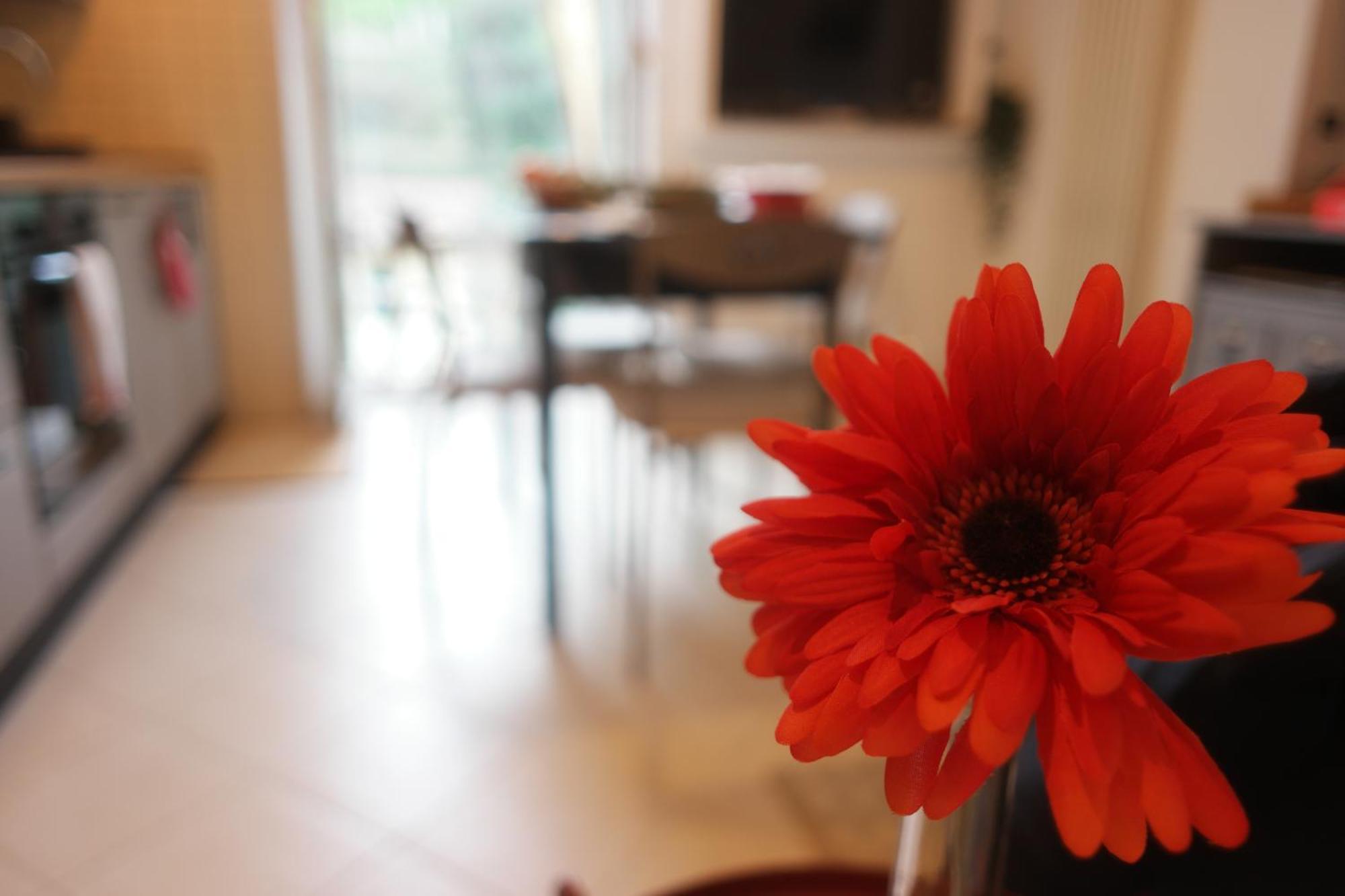 Il Nido Di Mariro Apartamento