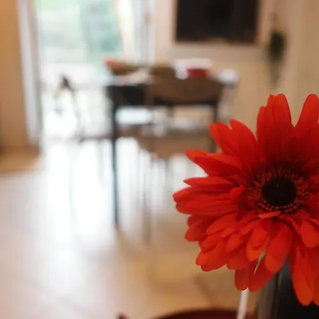 Apartamento Il Nido Di Mariro La Spezia Exterior foto